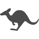 roo code